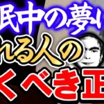 【ひろゆき】※やっと真相に辿り着きました※夢の正体は｢記憶の整理｣or｢もう一つの世界or未来予知」と言われてますが僕は●●だと思います※【切り抜き/論破/都市伝説】